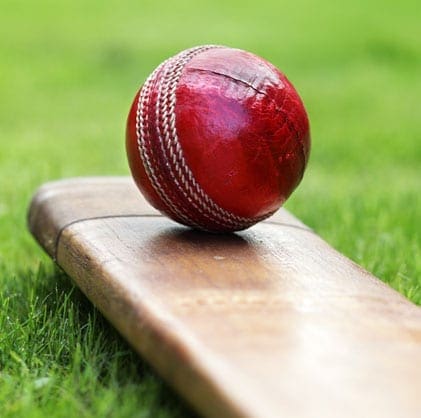 Cricket Accessories